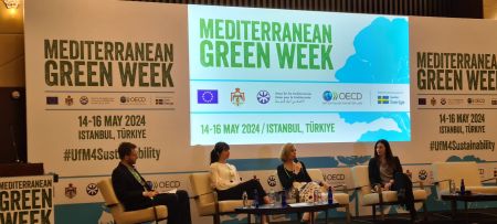 MedProgramme SCCF project at Mediterranean Green Week