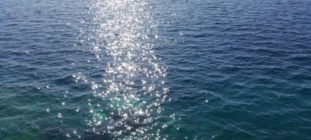 MedOpen ICZM advanced 2019 has started !